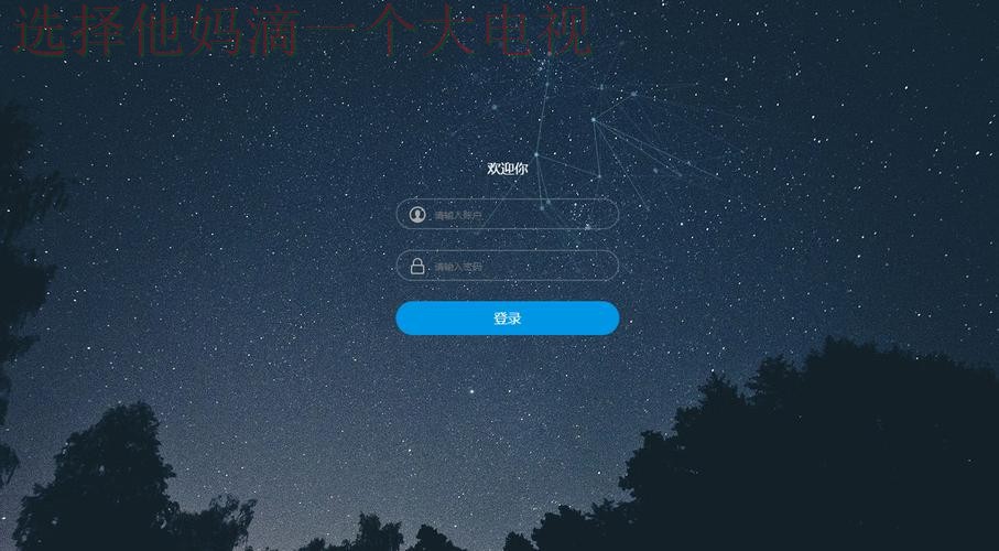星空登录入口官方网站